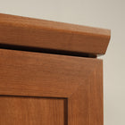 Sauder - 435133 La Collection HomePlus Meuble de rangement - Finition Sienna Oak-5