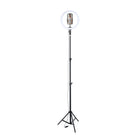 Basic Tech - Anneau lumineux à DEL de 12 po avec trépied réglable-Diamètre : 12 po (30,48 cm)