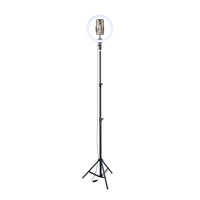 Basic Tech - Anneau lumineux à DEL de 12 po avec trépied réglable-Diamètre : 12 po (30,48 cm)
