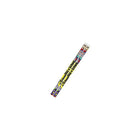 Musgrave Pencil Company "100e jour d'école" #2 crayons - 144 Pack-Chaque crayon est livré avec une gomme