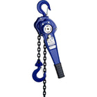 Gray Tools â€“ Palan à levier, capacité de lever 0,5 t, levage de 3 pi-Capacité de levage (tonnes) : 0,5
