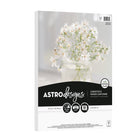 Astrodesigns - Papier couverture 65lb - 8,5 po l x 11 po H - Blanc solaire - Paquet de 50-Poids de base : 65 lb./176 gsm