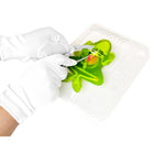 Dissect It - Grenouille-Dimensions: 10,3 po H x 7,75 po L x 2,125 po L