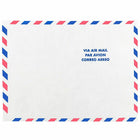 JAM Paper - Enveloppes Tyvek indéchirables pour catalogue à extrémité ouverte - 9" x 12" - Poste aérienne blanche - Paquet de 10-Enveloppes de courrier aérien blanches Tyvek durables