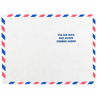 JAM Paper - Enveloppes Tyvek indéchirables pour catalogue à extrémité ouverte - 9" x 12" - Poste aérienne blanche - Paquet de 10-Enveloppes de courrier aérien blanches Tyvek durables
