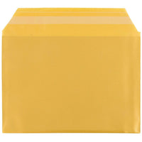 JAM Paper Pochettes de plastique, 4 1/4 x 5 2/3 po, doré, 100/paquet-Poids : 0,3 lb