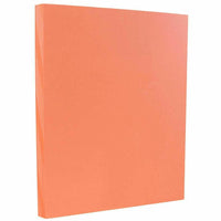 JAM Paper - Papier cartonné Bristol Index Vellum - 110 lb - 8,5 po x 11 po - Saumon - paquet de 50-Couleur : Saumon / Notre papier cartonné solide de qualité supérieure ne montre pas de blanc lors du pliage, du déchirement ou de la coupe ; c'est coloré tout au long ! Ce papier cartonné vélin n'est PAS translucide, mais JAM Paper le propose en plusieurs couleurs si c'est ce que vous recherchez.