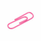 JAM PAPER - Colore norme 1" Trombones, Rose, 2 Paquets de 100-Ces trombones colores sont parfaits pour organiser des papiers à la maison, à l'ecole ou au bureau