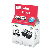 Canon - Paquet double économique d'encre noire PG-245 (8279B006)-Noir