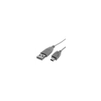 StarTech  Câble USB A/Mini B mâle à mâle USB2HABM10 de 10 pi-Interface USB 2.0 haute vitesse pour des vitesses de transfert allant jusqu’à 482 Mb/s