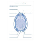 Learning Resources - Ensemble de découverte du cycle de vie du poussin-Doté d’illustrations réalistes montrant le développement des poussins à l’intérieur des œufs 1 à 20; le dernier œuf contient une figurine de poussin en plastique