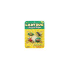 Chiffres des étapes du cycle de vie des coccinelles-Utilisez ces figurines de cycle de vie de coccinelle en plastique souple pour apprendre comment grandit cet insecte populaire !