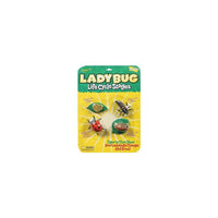 Chiffres des étapes du cycle de vie des coccinelles-Utilisez ces figurines de cycle de vie de coccinelle en plastique souple pour apprendre comment grandit cet insecte populaire !