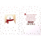Rosedale Gold - Cartes de souhaits avec enveloppes "Joyeux Noël" Ours polaire - 5-1/2 po x 8 po - Anglais - Paquet de 6-Message extérieur: Joyeux Noël