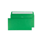 Blake - Enveloppes d'invitation verte de couleur creative de la - 4 1/2 po l x 9 po L - Avocado Green - Paquet de 25-Avocado Green