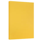 JAM Paper - Papier cartonné bristol de format tabloïde, fini vélin, 11 x 17 po, 67 lb, verge or, 50 feuilles (16932834)-Taille : 11 x 17 po