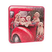 Grandma Wild's - Chiots dans une boîte Van - 160g-Biscuit au gingembre et au citron, Biscuits aux pepites de chocolat, Biscuits sables au beurre, Clotted Cream avec biscuits aux pepites de chocolat