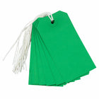 Jam Paper - Étiquettes Cadeaux avec Cordon - Moyen - 4 3/4 po x 2 3//8 po - Vert - 1000 Pack-Taille: 4 3/4 x 2 3/8 pouces