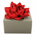 JAM Paper - Méga noeuds cadeaux - 13 po de diamètre - rouge-Couleur: arc rouge