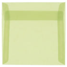 JAM Paper Enveloppes carrées translucides de 5,5 x 5,5 po, vert feuille, 50/paquet-Enveloppes translucides vert feuille