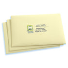 Avery - Étiquettes d'adresses Easy Peel laser/jet d'encre, incolores lustrées, 2 po x 4 po, paq./100 (7663)-10 étiquettes par feuille