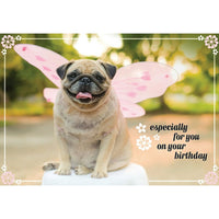 Millbrook Studios – Cartes de souhaits et enveloppes, Especially For You, 5 3/8 x 7 3/4 po, 18/paquet (06311)-Imprimées sur papier cartonné non couché