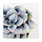 Kiera Grace – Tableaux KG Raccow succulents, ensemble de 3, 12 x 12 po, et 12 x 26 po, bleu, violet, blanc, vert et jaune-Deux affiches de 12 x 12 x 0,75 po, et une de 12 x 26 x 0,75 po