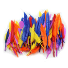 Charles Leonard Creative Arts – Plumes de canard, couleurs variées, 3 x 5 po, 8/paquet (LCH63080)-Les plumes de canard sont idéales pour tout projet de bricolage