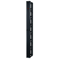 Gestionnaire de câble vertical APC AR8615 84 x 6 po pour 2 et 4 colonnettes de support-Gestionnaire de câbles pour organiser plusieurs câbles de raccordement dans une salle de serveur ou une station de réseautage