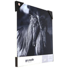 Gry Mattr - Wall Art Buddies, 24 x 24 po-24 x 24 po