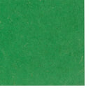North American Paper Inc. - Papier de bricolage - 18 po x 24 po - vert - 48 feuilles-48 feuilles par paquet