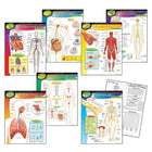 Trend Enterprises – Carte d’apprentissage du corps humain, 7/paquet (T-38913)-Couleurs variées