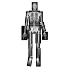Roylco True To Life Human X-Ray-59" (1,5 m) de hauteur