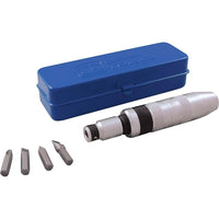 Gray Tools - Ensemble de clés et d’embouts à chocs, 6 pièces, 1/2 po-Comprend : Clé carrée de 1/2 po pour tournevis à chocs, adaptateur d’embout hexagonal de 5/16 po, embouts Phillips no 2 et 3 et embouts plats 5/16 po et 3/8 po.
