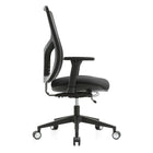 Raynor - Haut Du Dos Exécutif Chaise De Maille, Noir-Dimensions du siège : 17,91 po l x 19,69 po P, Dimensions du dossier : 16,54 po l x 23,43 po H