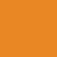 North American Paper Inc. - Papier de bricolage, orange, 12 po x 18 po, 48 feuilles-18 po x 12 po (portrait)