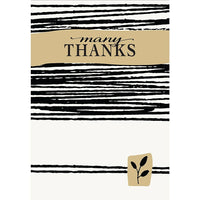 Millbrook Studios – Cartes de souhaits et enveloppes, Many Thanks, 5 3/8 x 7 3/4 po, 18/paquet (06796)-Imprimé sur du papier cartonné non couché