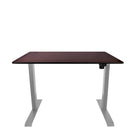 AnthroDesk - Bureau assis/debout electrique - Starter Gris avec une surface de travail BM 48" x 30"-Base en acier inoxydable extrêmement durable qui durera des années!