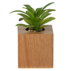 General Supply Goods + Co - Fausse Plante - Base Bois-Faux Succulent