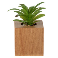 General Supply Goods + Co - Fausse Plante - Base Bois-Faux Succulent