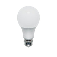 Northern Stars – Ampoule DEL 80077, A19 9W, intensité réglable, givré, blanc, paquet de 2-DEL A19 de 9W, lumière du jour