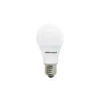 Northern Stars – Ampoule DEL 80074, A19 7 W, intensité réglable, givré, blanc, paquet de 10-DEL A19 de 7 W, blanc froid