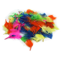 Charles Leonard – Plumes de dindes Creative Arts, couleurs chaudes, 12/paquet (CHL63030)-Les plumes de dindes sont parfaites pour les masques, les collages et autres projets de bricolage