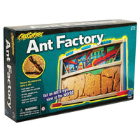 Usine de fourmis GeoSafari-Installez et entretenez votre propre habitat de fourmis et observez l'un des insectes les plus intéressants de la Terre !