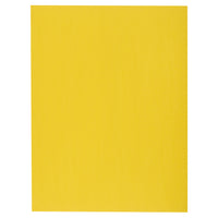 North American Paper Inc. - Papier de bricolage - 18 po x 24 po - jaune - 48 feuilles-Parfait pour les projets ou l’artisanat