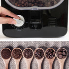 Kenmore - Elite Grind and Brew Cafetière avec broyeur à bavures, minuterie automatique programmable 12 tasses-Ajustez la taille de la mouture avec 10 réglages de « Fin » à « Grossier »