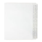 Mark Maker – Ensemble d’onglets séparateurs juridiques blancs, 1/25 onglets, format lettre, sans trous, numéros 1 à 75-Onglets séparateurs blancs, 1/25 onglets