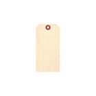 Accuform Signs - Manille Étiquettes vierges - Papier cartonné - 1-7/8 po L x 3-3/4 po H - paquet de 100-Construit en papier 10 points