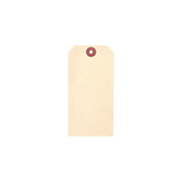 Accuform Signs - Manille Étiquettes vierges - Papier cartonné - 1-7/8 po L x 3-3/4 po H - paquet de 100-Construit en papier 10 points