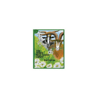 Houghton Mifflin Harcourt Les Trois Billy Goats Gruff Big Book-Les trois frères chèvre bravent le terrible troll dans une version colorée du conte classique